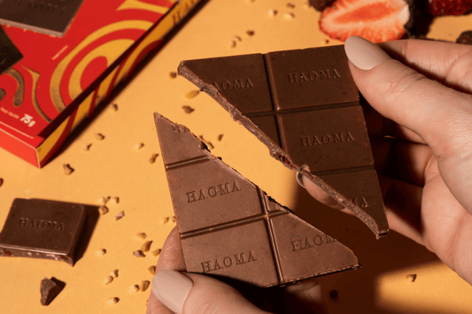 Chocolate sem adição de açúcar: descubra os produtos irresistíveis da Haoma