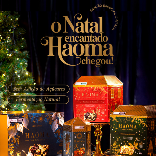Sonho de uma Noite de Natal: conheça a coleção de Natal da Haoma
